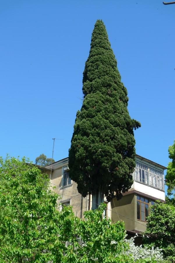 Old Town Guesthouse Sukhumi Exterior photo
